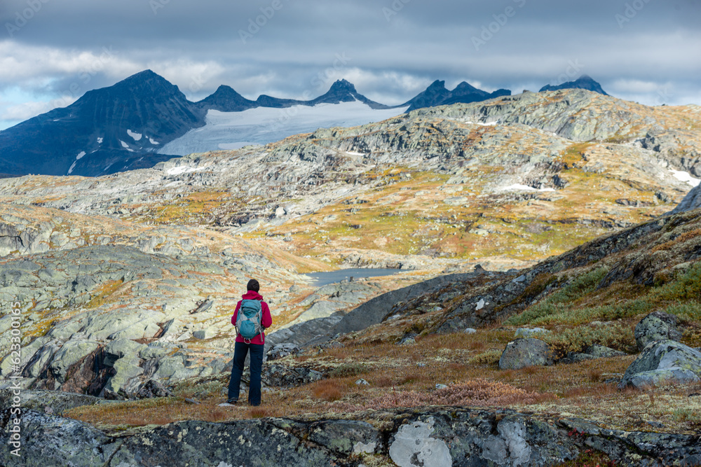 Visiting Norway Hiker admires beautiful mountains near Skalavatnet Lake Suldal, Norway