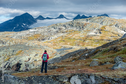 Visiting Norway Hiker admires beautiful mountains near Skalavatnet Lake Suldal, Norway