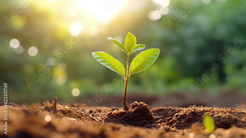 Growing Seedling with Morning Sunshine on Green Bokeh Background, AI generated