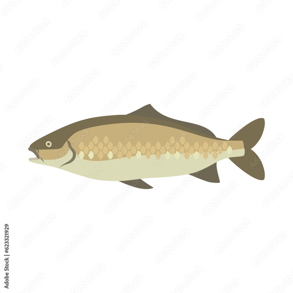 コイ。フラットなベクターイラスト。
Carp. Flat designed vector illustration. コイ。フラットなベクターイラスト。
Carp. Flat designed vector illustration.