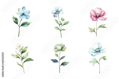 Beautiful watercolor floral hand-drawn collection, wild field flowers