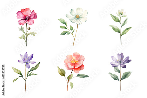Beautiful watercolor floral hand-drawn collection, wild field flowers