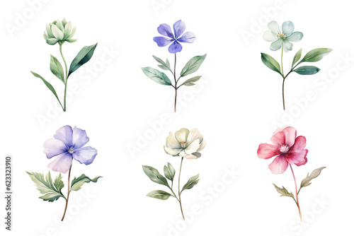 Beautiful watercolor floral hand-drawn collection  wild field flowers
