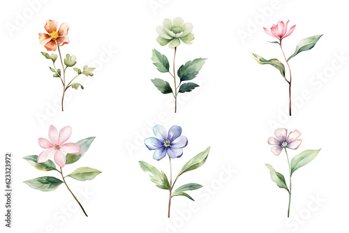 Wallpaper Mural Beautiful watercolor floral hand-drawn collection, wild field flowers Torontodigital.ca