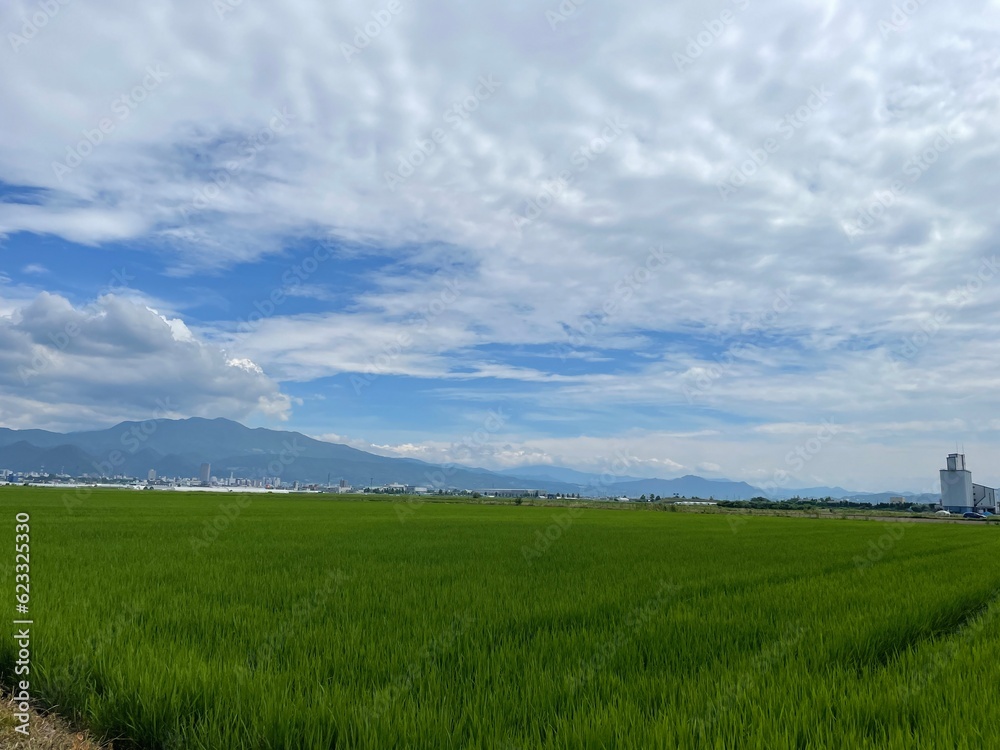 210715田んぼ金井
山形市金井
田んぼ
蔵王
空
雲 210715田んぼ金井
山形市金井
田んぼ
蔵王
空
雲