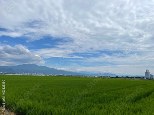 210715田んぼ金井山形市金井 田んぼ 蔵王 空 雲