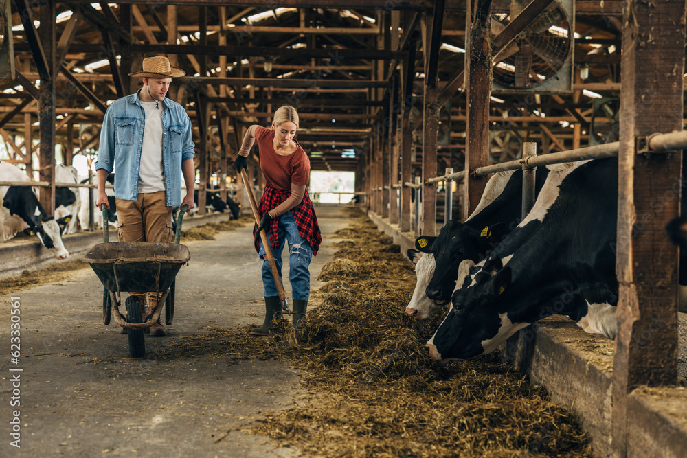 A female and male farmer clean the stable together. A female and male farmer clean the stable together.