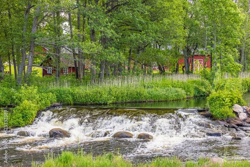 River in a tree grove in the countryside photo