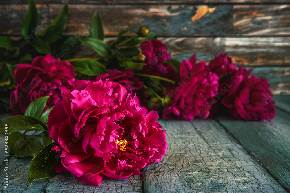 Bouquet of red peonies scattered on the table. soft background