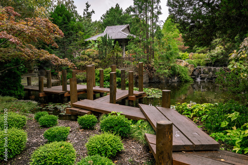 Bild auf Leinwand Japanese garden inside of the Royal Tasmanian Botanical Gardens in Hobart, Tasma