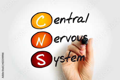 CNS - Central Nervous System is the part of the nervous system consisting primarily of the brain and spinal cord, acronym text concept background photo