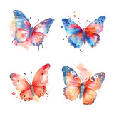 Cute butterfly ilustration collection