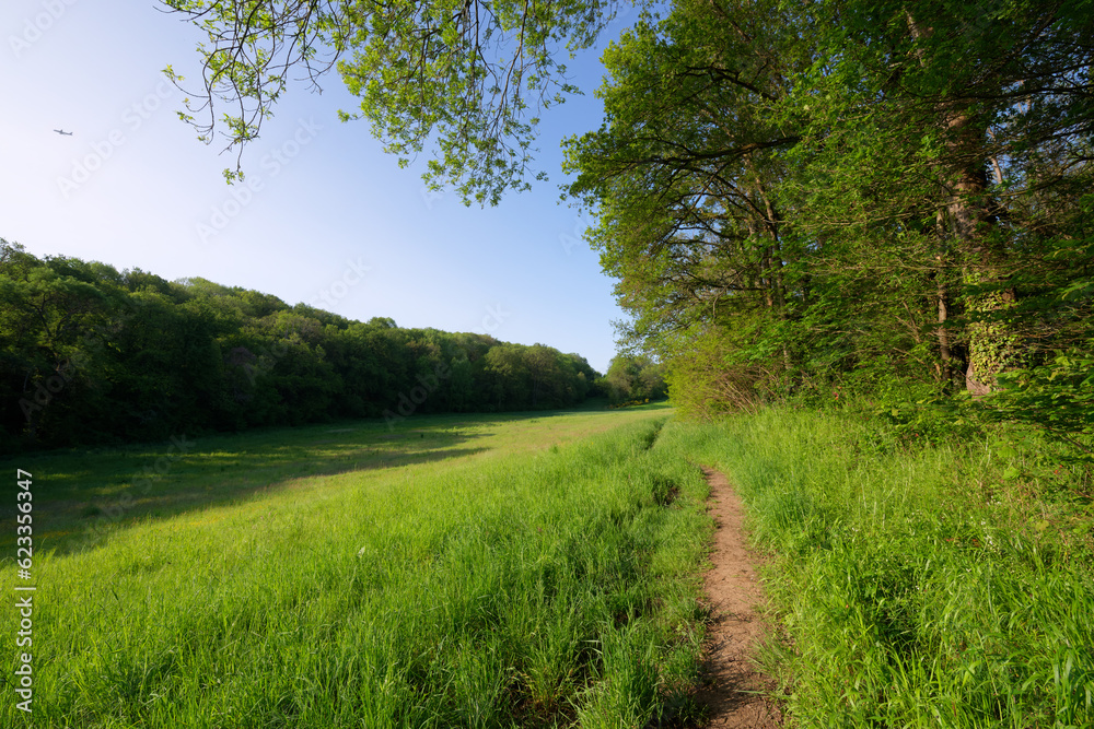 Yvette valley in the Haute Vallée de Chevreuse Regional Natural Park