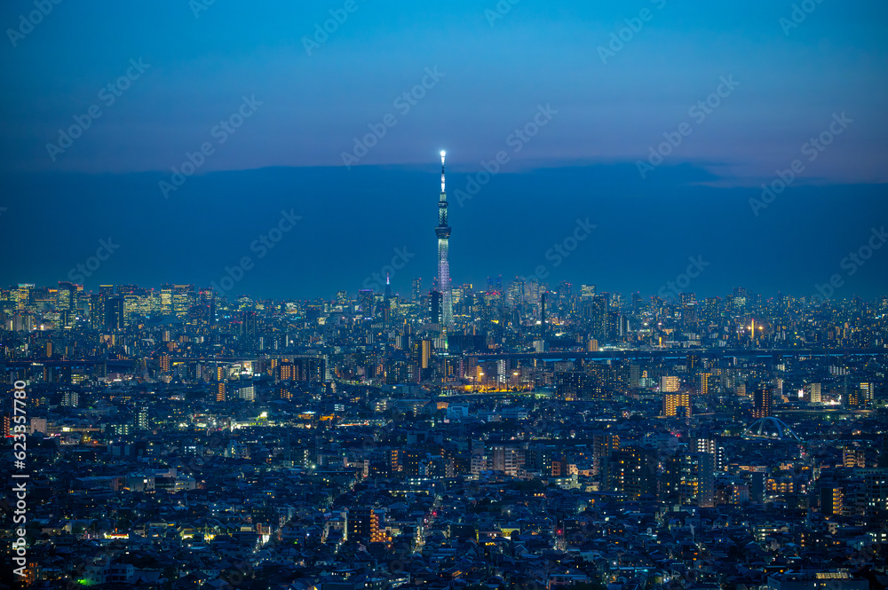 スカイツリーと東京の夜景