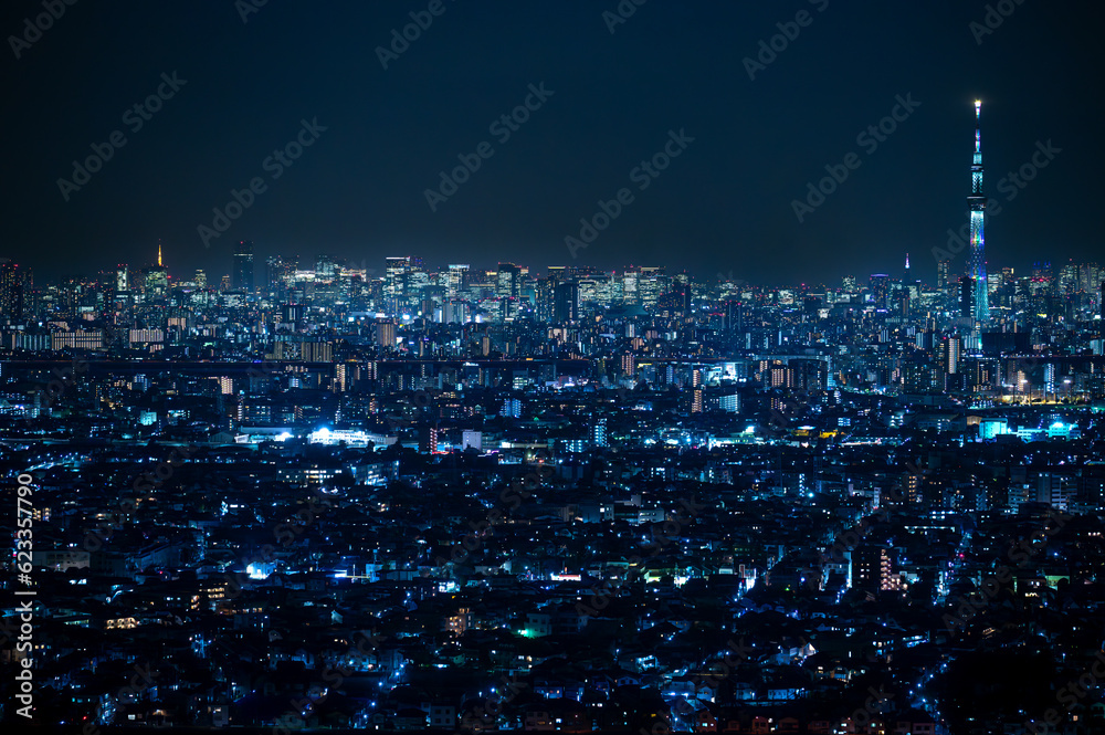 千葉県市川市から見える東京都心の夜景