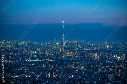 スカイツリーと東京の夜景