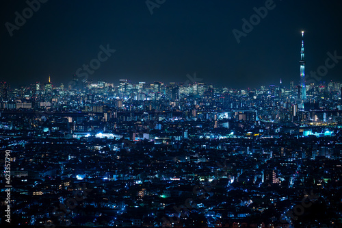 千葉県市川市から見える東京都心の夜景 Fototapet