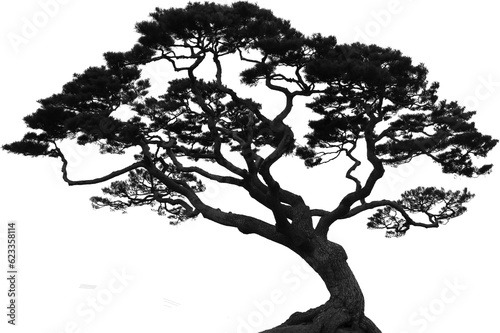 합성용 나무 png파일