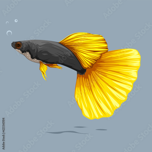 Vector illustration of HB Yellow Guppy Fish with simple bubble in front of it isolated on blank background, suitable for your poster, logo, brochure, video motion, or many other.