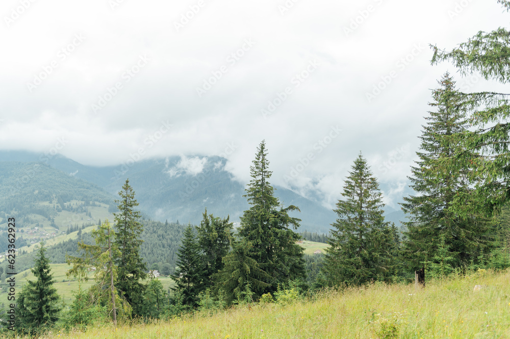Green Ukrainian mountains. Summer time. Beautiful views of the largest peaks. Green Ukrainian mountains. Summer time. Beautiful views of the largest peaks.