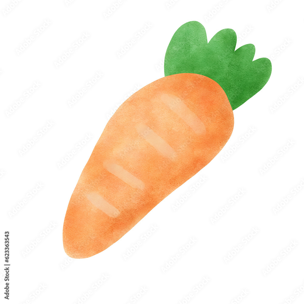 Carrot Carrot