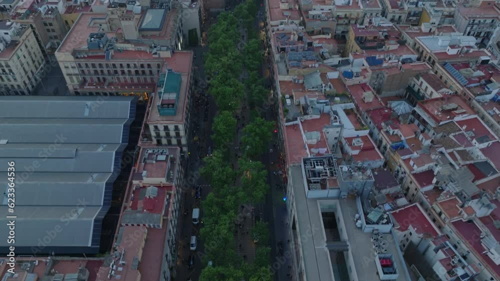 Bird's eye shot of wide boulevard with green trees in urban borough. Aerial view of dense town development at dusk. Barcelona, Spain Bird's eye shot of wide boulevard with green trees in urban borough. Aerial view of dense town development at dusk. Barcelona, Spain