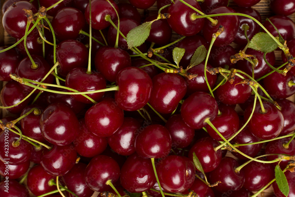 Fresh cherry with leaves as backgroung, top view Fresh cherry with leaves as backgroung, top view
