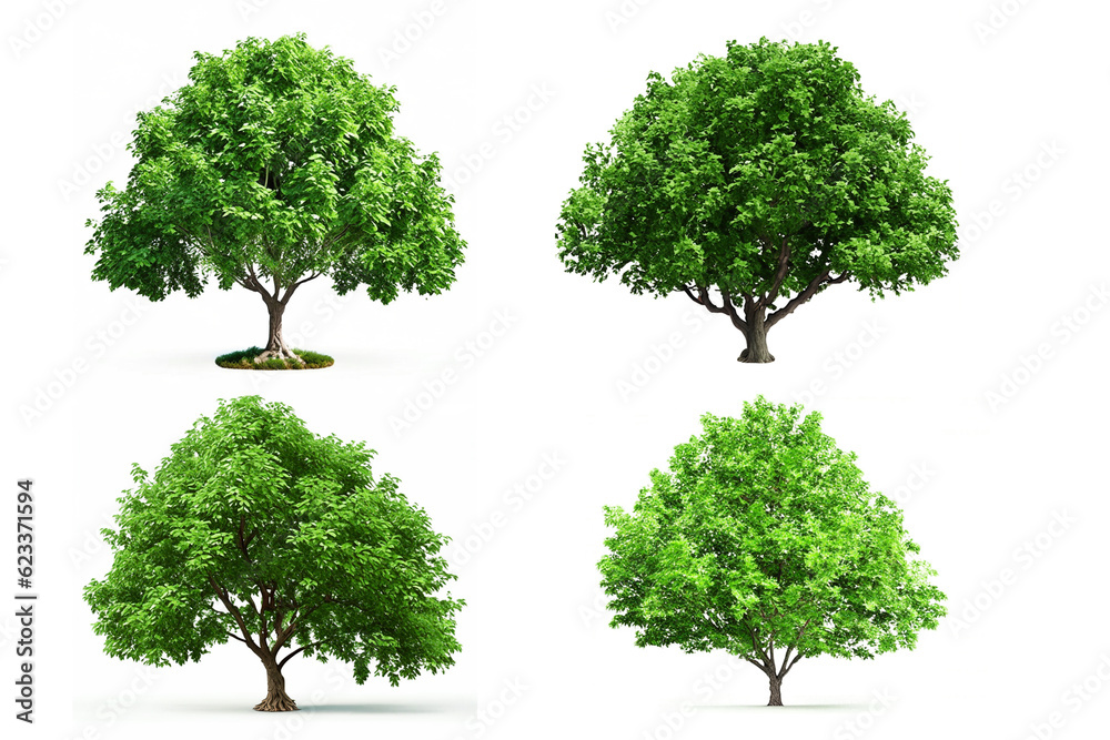 Fototapeta premium Set of Tree on white background. Generative AI illustration.