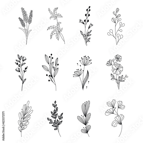 Set of branch and leaves collection. Floral hand drawn vintage set. Sketch line art illustration. Element design for greeting cards and invitations of the wedding, birthday.