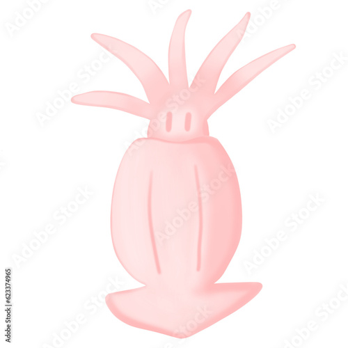 squid