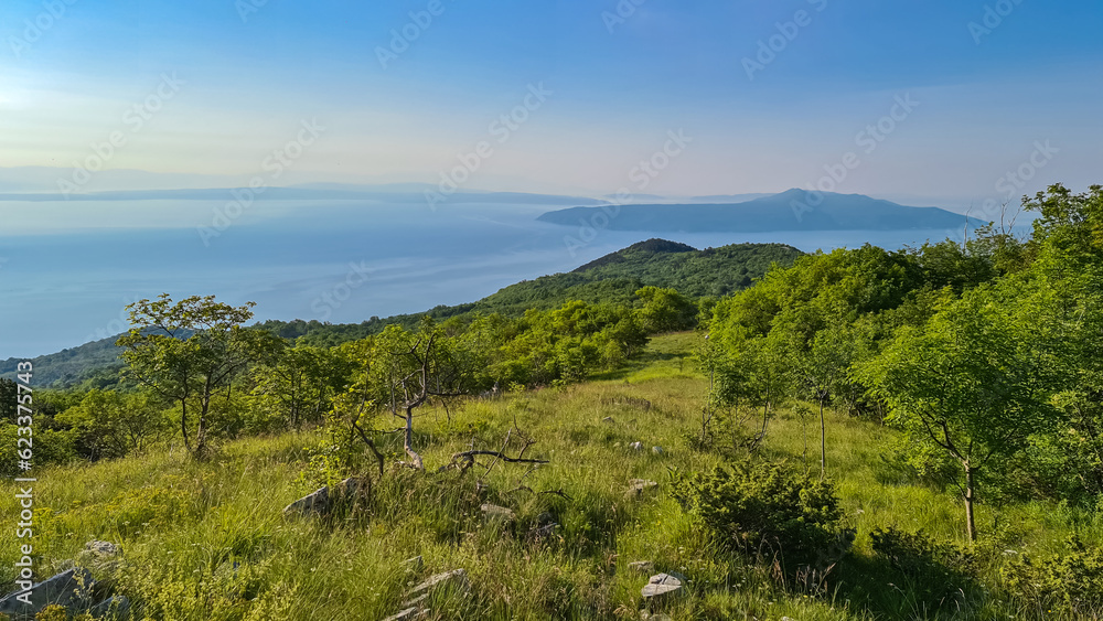 A panoramic view on the Mediterranean Sea in Croatia. The sun has just risen, leaving the sky still a bit orange. The hills are overgrown with lush trees and bushes. Early morning hiking by the sea.
