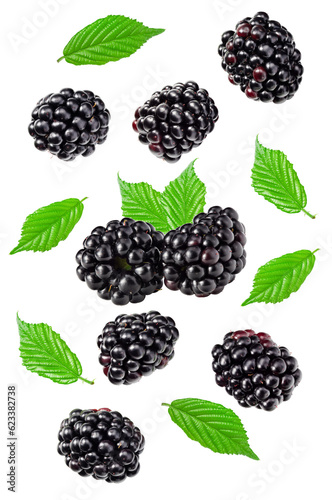 flying blackberries with leaves isolated on white background. clipping path
