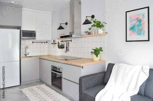 Scandinavian interior style modern studio small apartment in white and grey colors, furniture in living area and kitchen area
