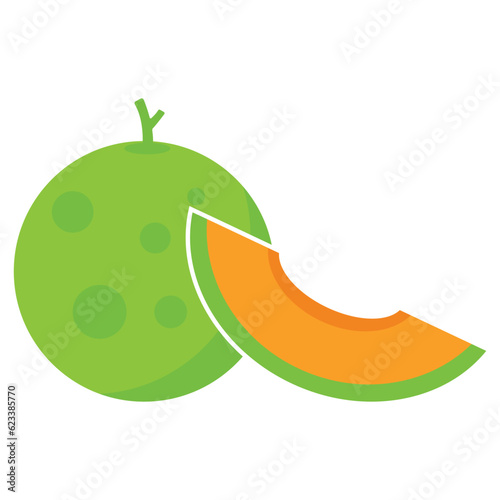 melon icon vector