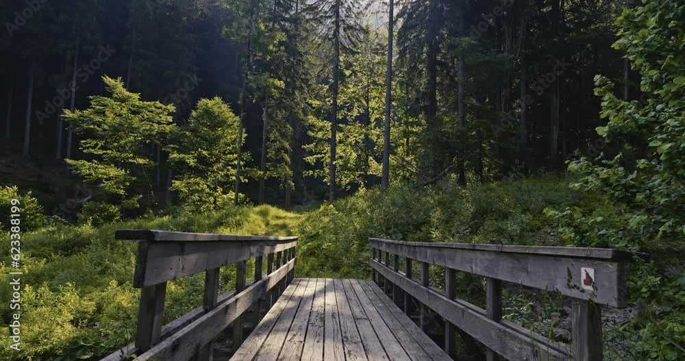 An old wooden bridge in a mountain valley. Camera tilts upwards revealing the top of the mountain An old wooden bridge in a mountain valley. Camera tilts upwards revealing the top of the mountain