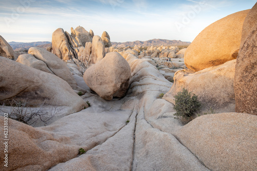 Joshua Tree National Park in California. 
In front of dramatic layered rocks in Joshua Tree National Park
Global warming.