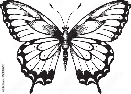 butterfly silhouette clipart butterfly 
