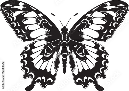 butterfly silhouette clipart butterfly 
