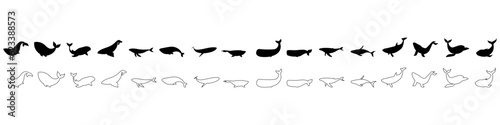 Whale icon vector set. Sperm whale illustration sign collection. Fish symbol. Ocean logo. photo