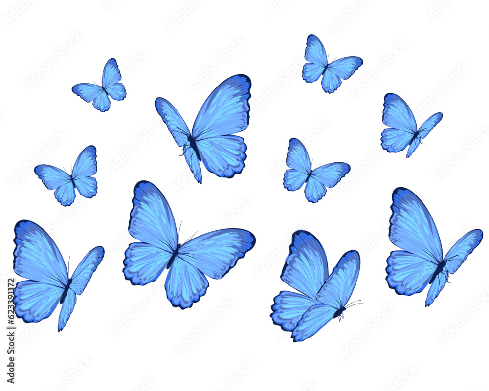 set of butterflies isolated set of butterflies isolated