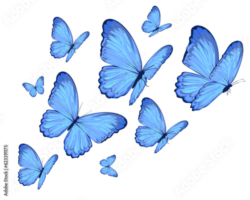 set of blue butterflies © ulucsevda