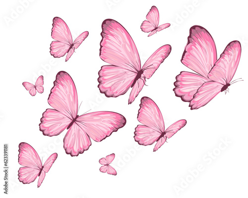 set of butterflies pink butterflies
