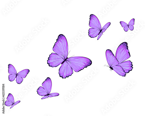 purple set butterfly set of butterflies