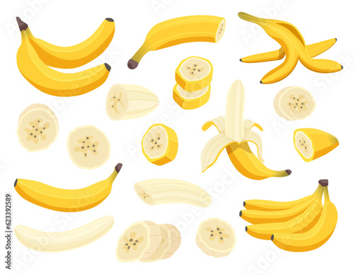 Fresh banana fruits isolated on white background. Peeled banana and bunch of bananas. Tropical fruits, banana snack, vegetarian menu. Vector illustration in cartoon flat style