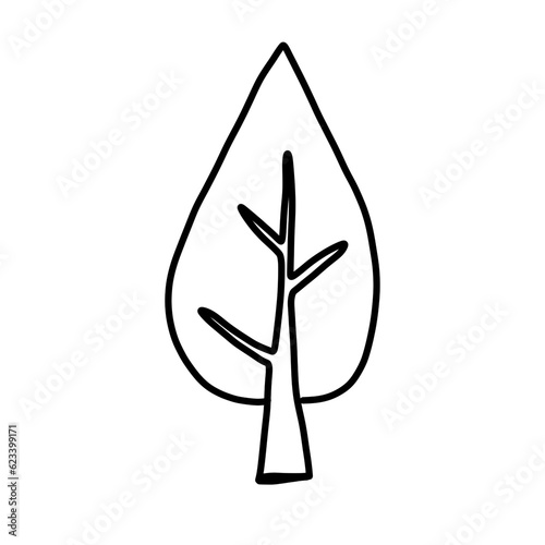 leaf isolated on white