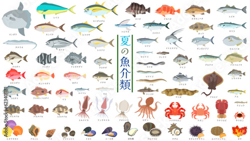 夏の魚介類のイラストセット。鮪、鮭、蟹、貝類など71種のイラスト。フラットなベクターイラストセット。 Illustration set of 71 summer seafood types including tuna, salmon, crab, shellfish, and more. Flat designed vector illustration set.