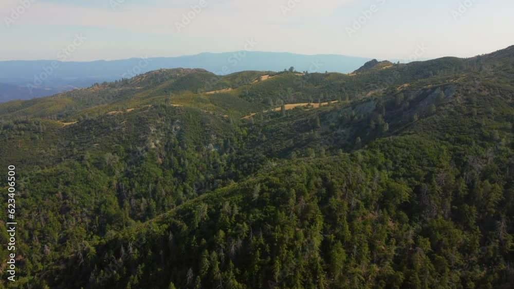 Figueroa Mountain, Los Padres National Forest, Santa Ynez Valley, Santa Barbara County