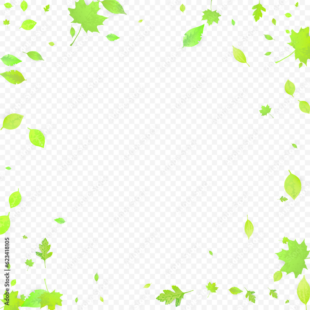 Leaves Falling Spring Flying Foliage Green Leaf Leaves Falling Spring Flying Foliage Green Leaf