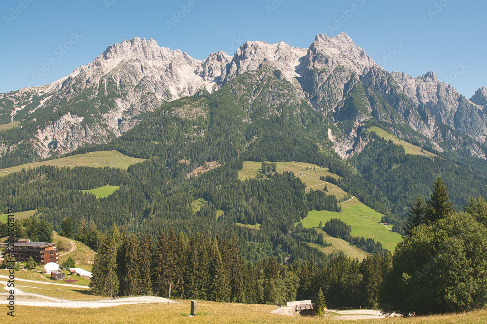 Scenic view of an alpine meadow and Leoganger Steinberge mountains. Steinernes Meer,Salzburg,Austria