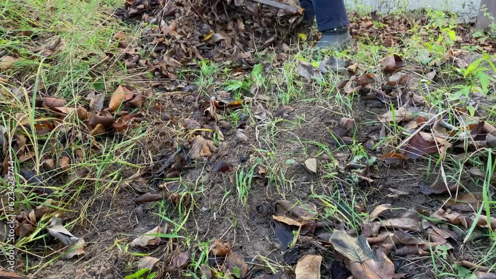 A woman removes autumn leaves, raking them into a pile Cleaning up autumn leaves A woman removes autumn leaves, raking them into a pile Cleaning up autumn leaves